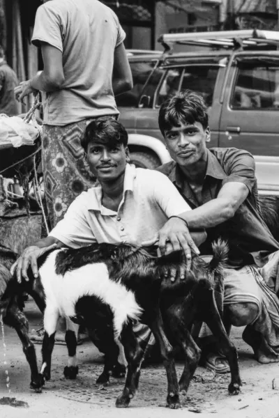 Goats and two men