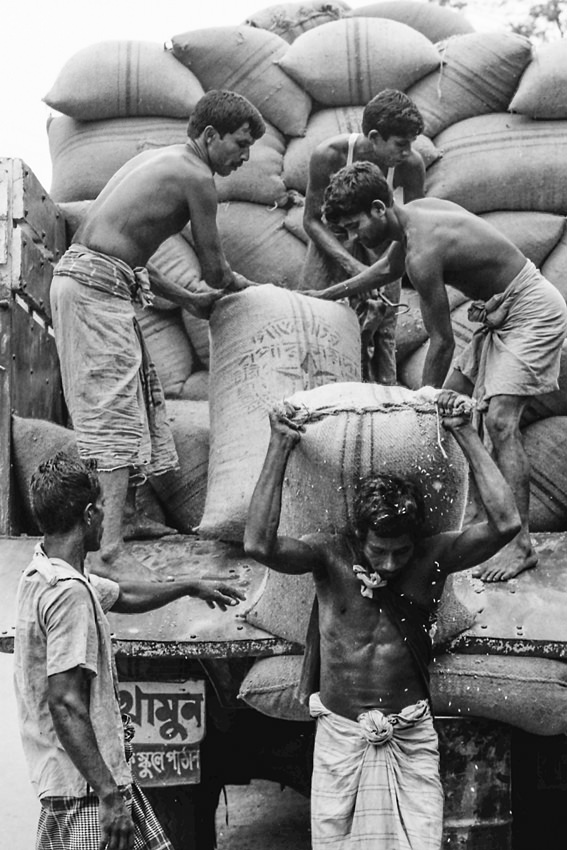 Laborers unloading
