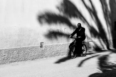 Bicycle running through shadow of palm tree