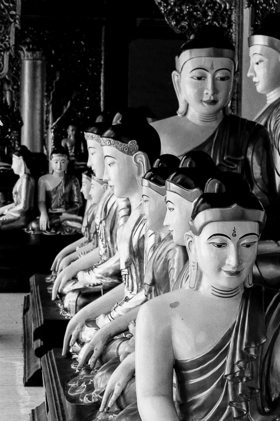 Many Buddha images sitting in the hall