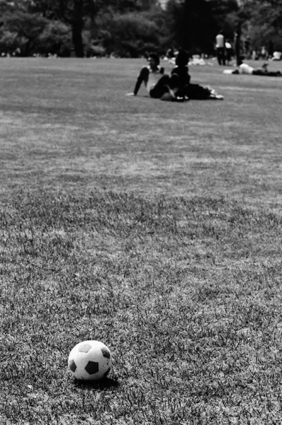 芝生の上のボール