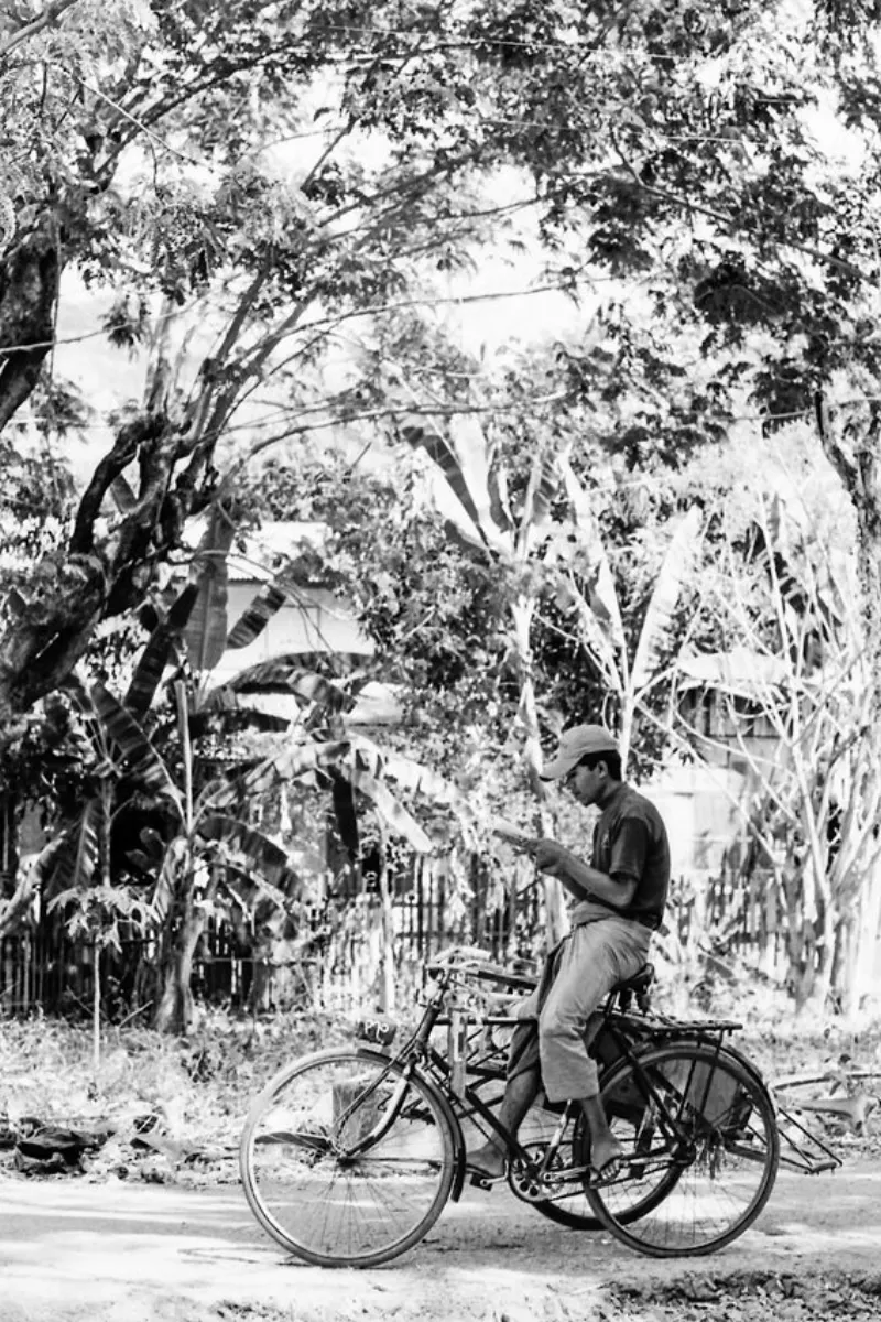 木陰で読書する漕手