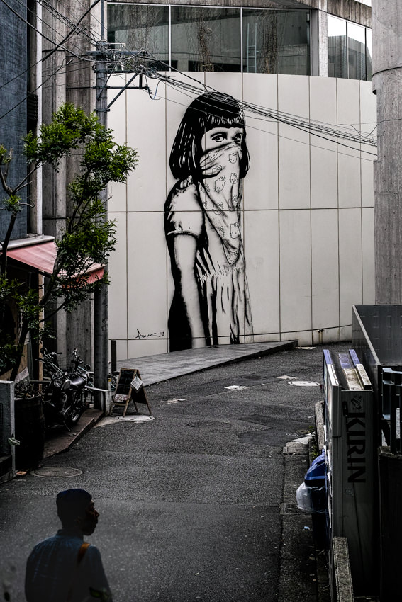 Girl drawn on fence