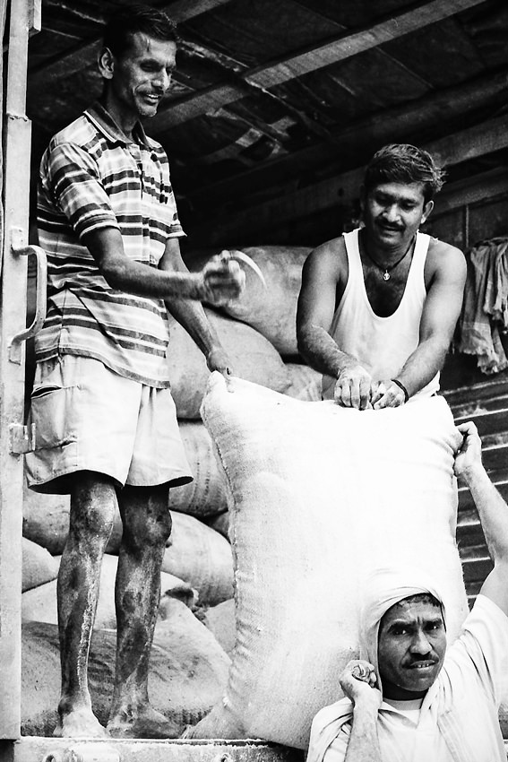 Three laborers working
