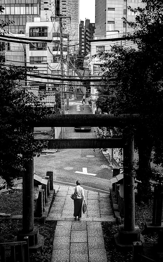 Woman passing through Torii