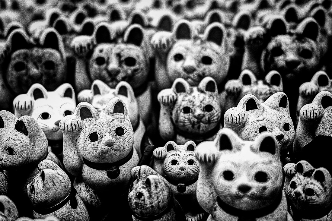 豪徳寺の招き猫