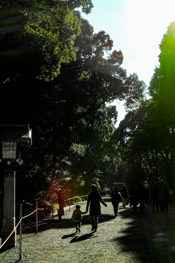 Mother and child walking along the approach to Meiji Jingu