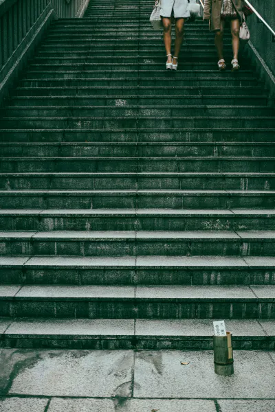 Four legs on stairway