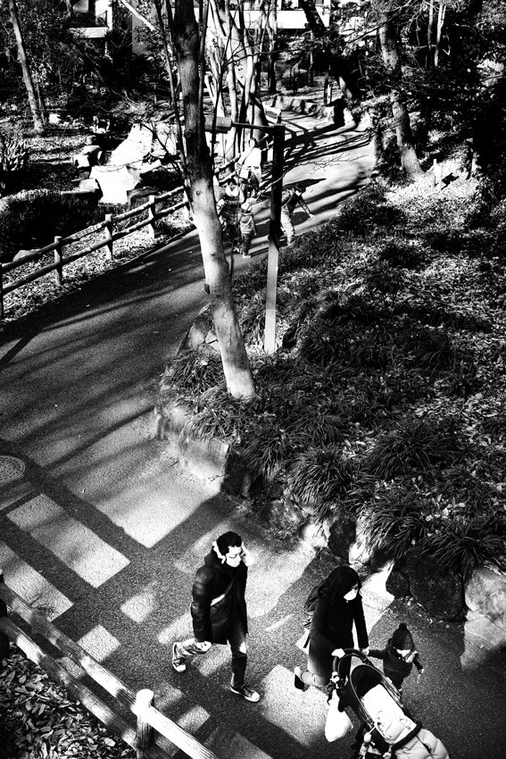 family on path