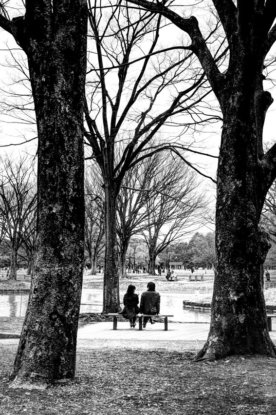 Couple sitting on bench