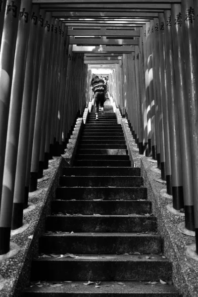 Steep stairway covered by Torii in Hie Jinja