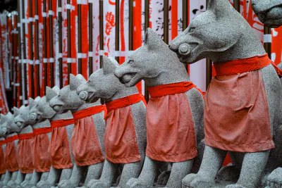 Fox statues in straight rows