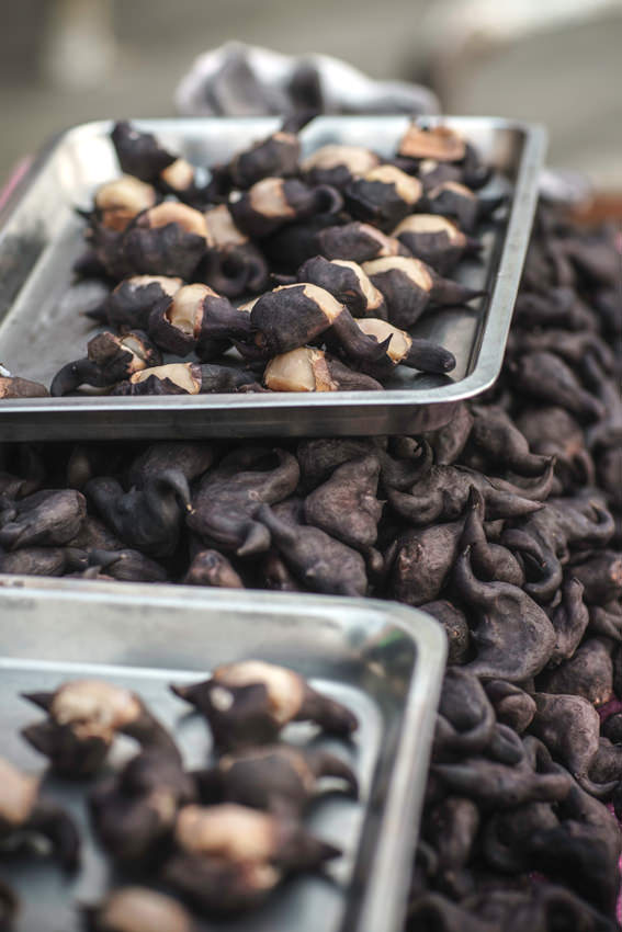 Water chestnuts