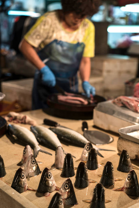 Heads of fish in straight rows