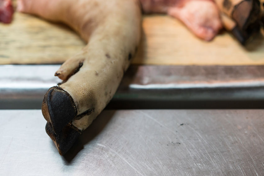Hand of pork in butcher