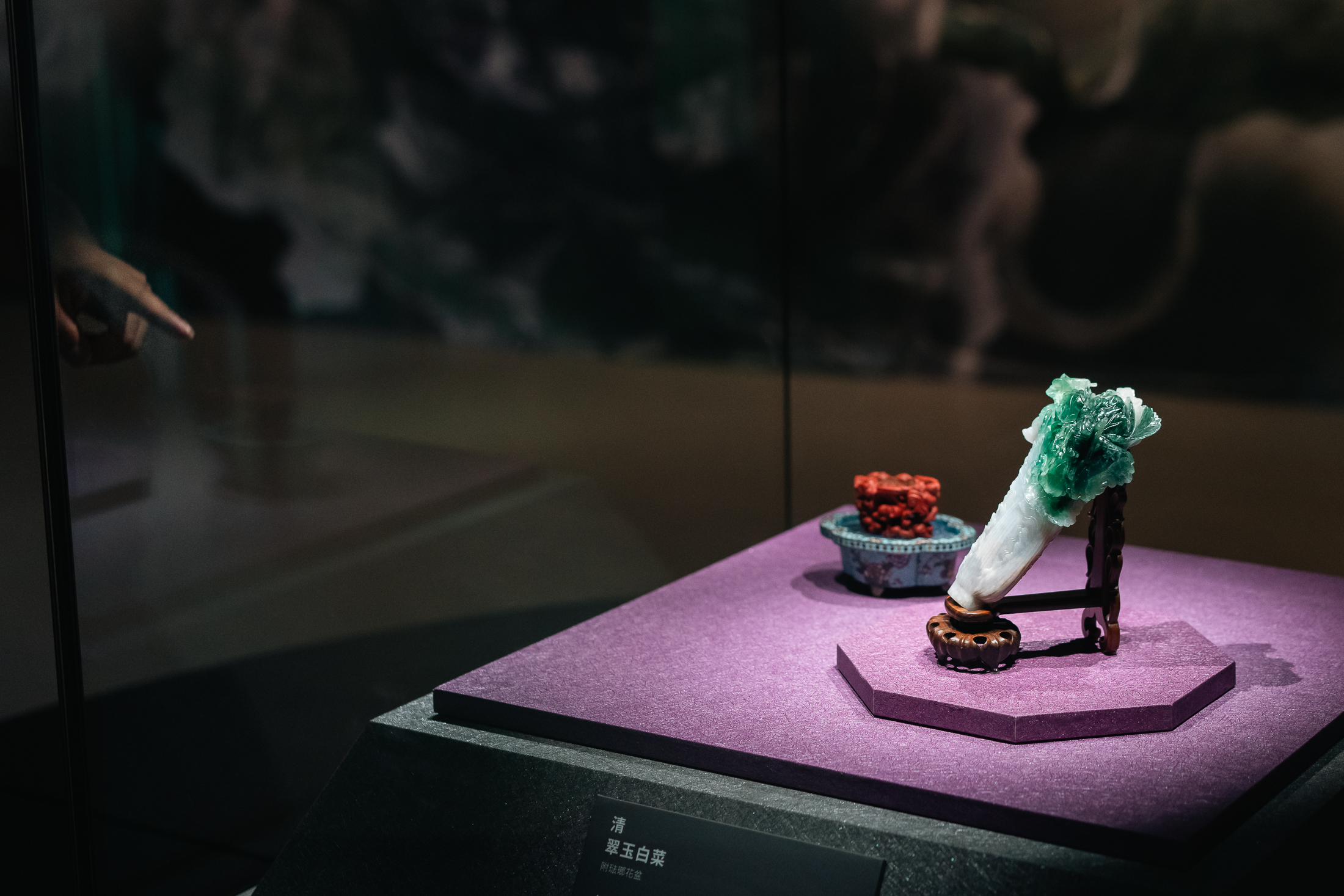 10145-chiayi-cabbage-