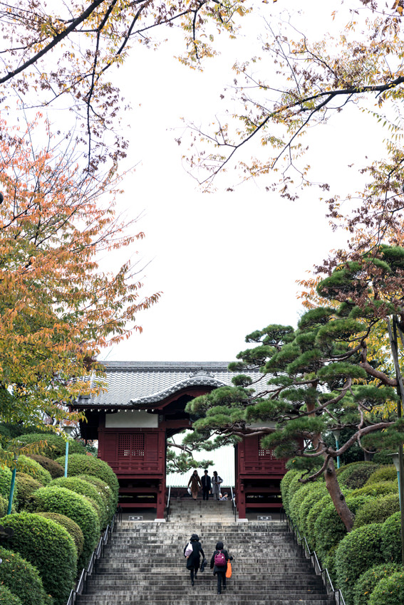 Furo-Mon gate in Gokoku-Ji