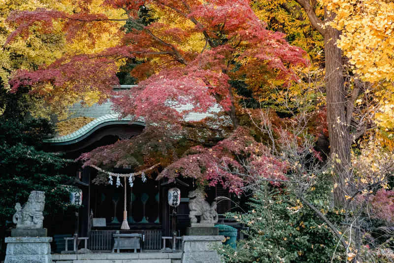Shohachiman Jinja Shrine