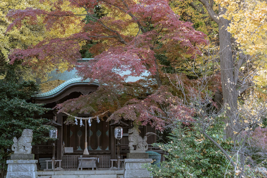 Shohachiman Jinja Shrine