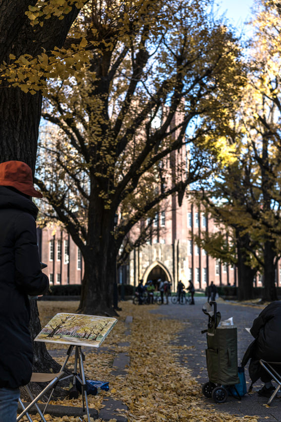 Canvas in campus