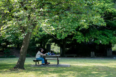 清澄庭園で読書するカップル