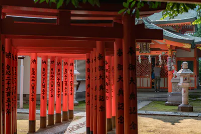 立ち並ぶ鳥居