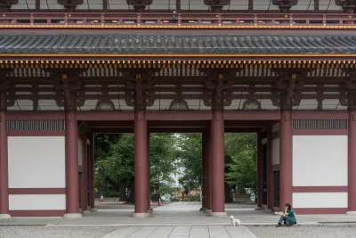 Woman and dog in front of gate