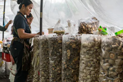 Woman selling Chinese mushrooms