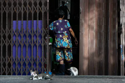 寝そべる猫
