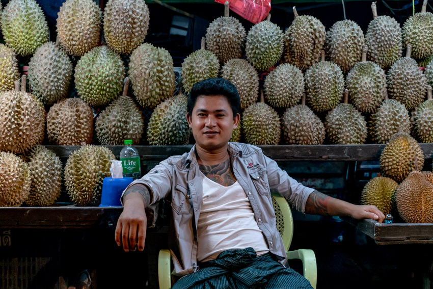 durian essay