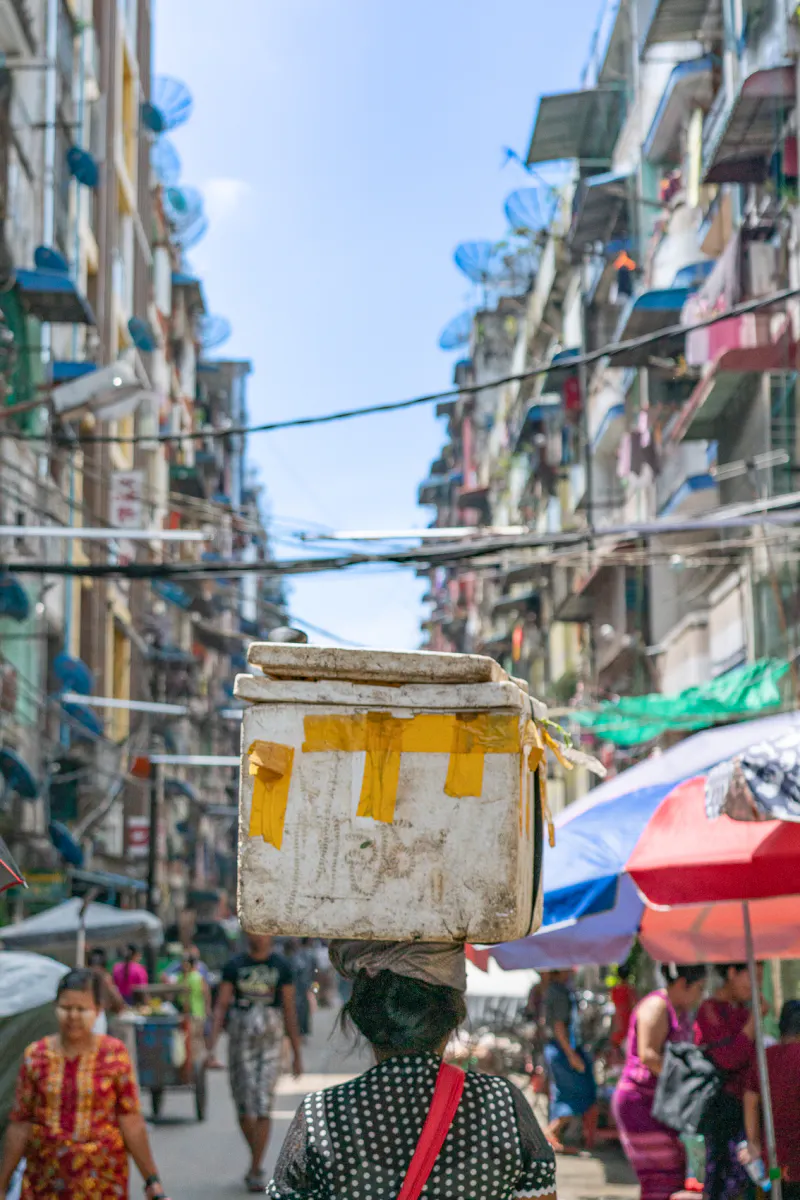 Woman putting a Styrofoam box on head