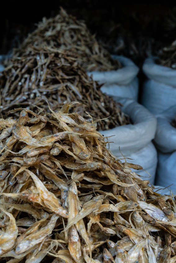 Pile of dried fishes