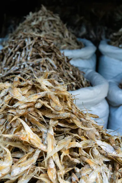 Pile of dried fish