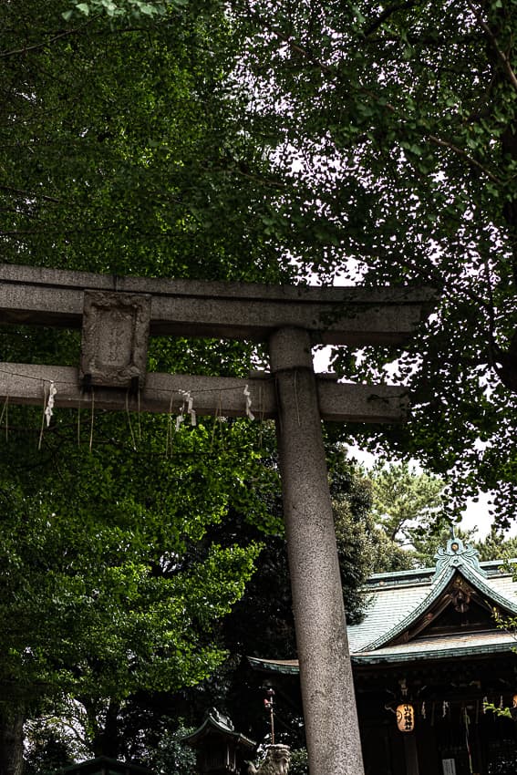 Torii and prayer hall in Koyama Hachiman Jinja Shrine