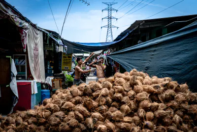 Many coconuts piled up in the middle of the lane