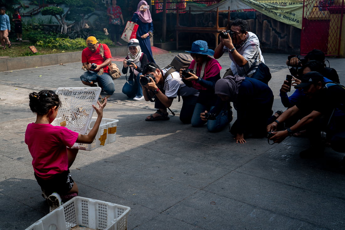 Girl releasing birds in Jin De Yuan