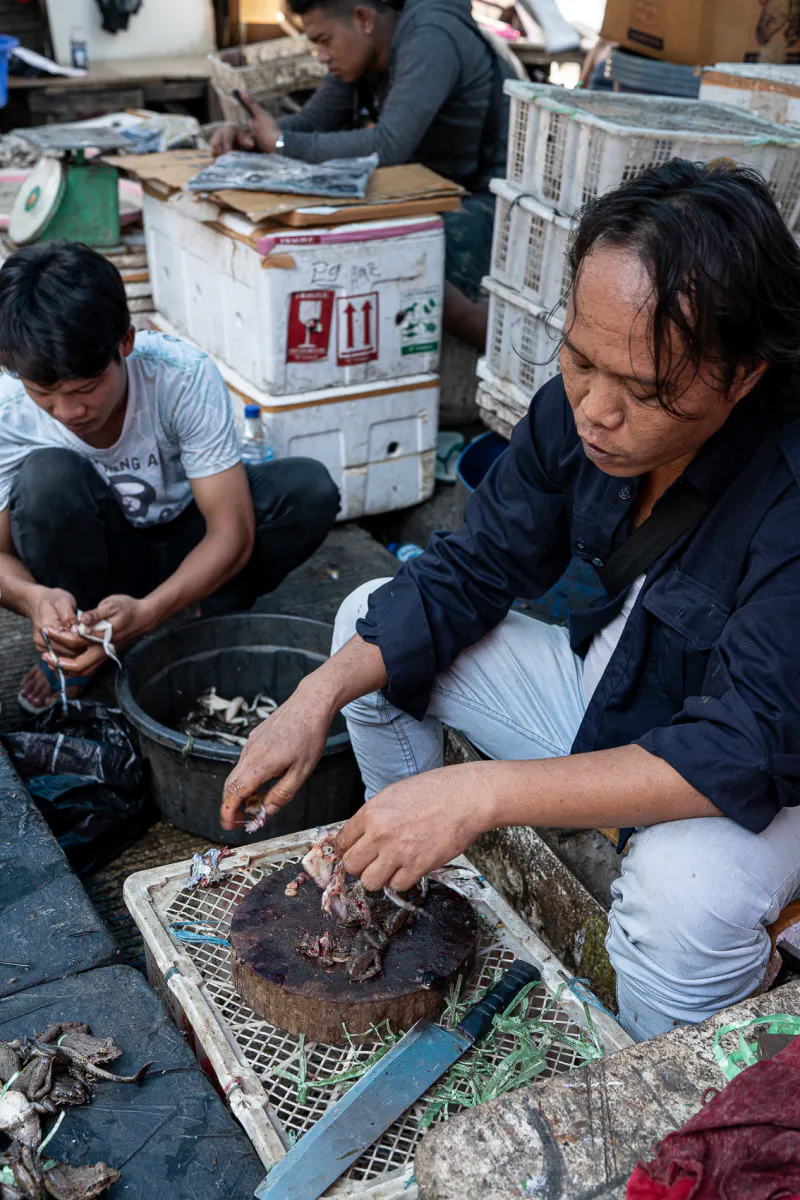 市場でカエルを売っていた男