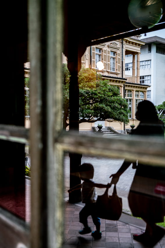 Windows of the billiard room