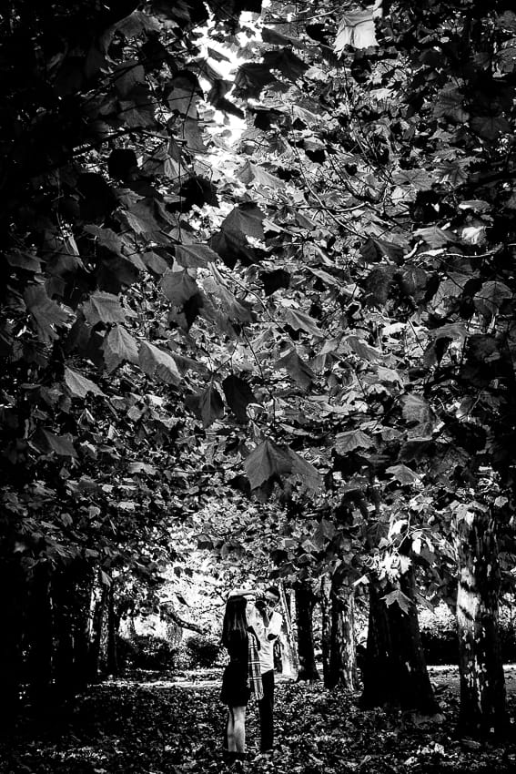 Man taking photos at the Plane trees
