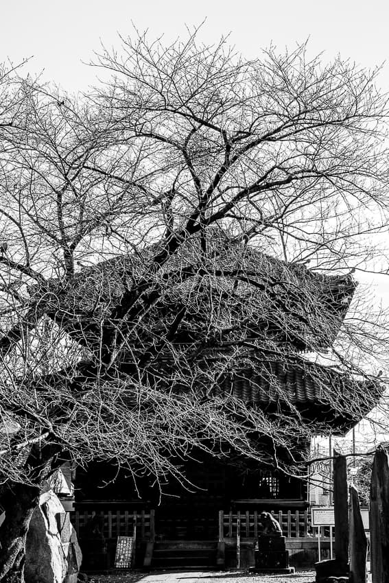 Sutra Repository at Suwasan Kichijoji Temple