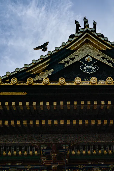 上野東照宮の鳩