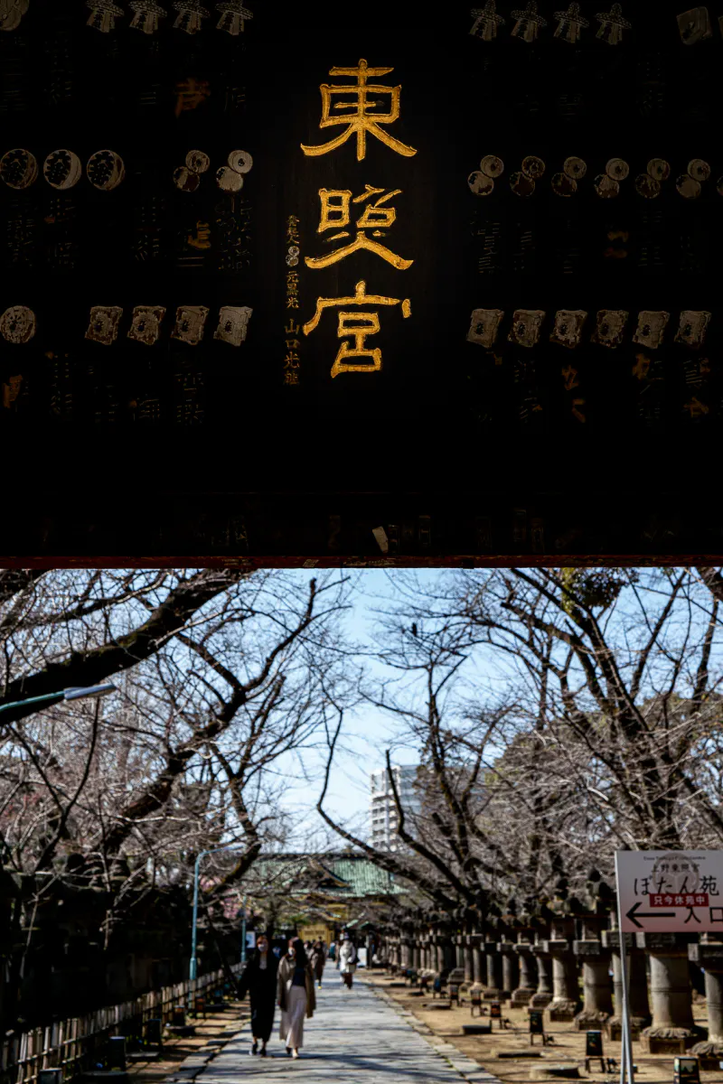 Mizuya-mon Gate in Ueno Toshogu Shrine
