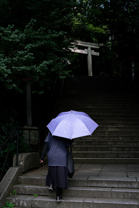 Purple umbrella at Yabo Tenmangu Shrine