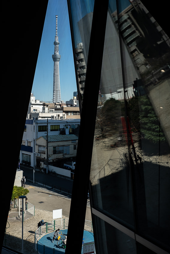 すみだ北斎美術館から見える東京スカイツリー