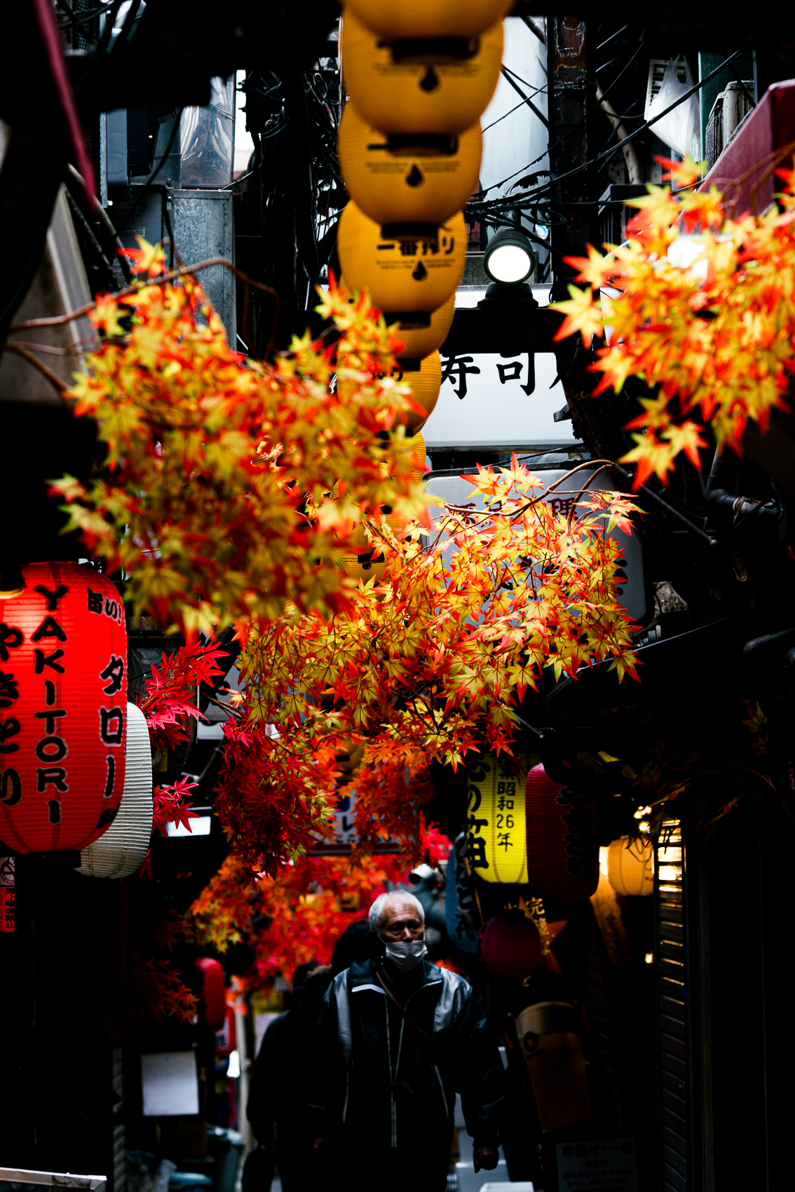 Omoide Yokocho, Tokyo] Omoide Yokocho With Sparkling Decorations 