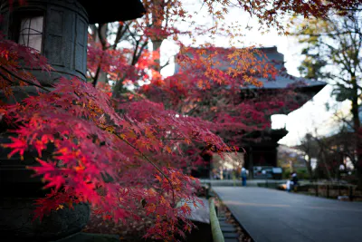 Kuhonbutsu Nio-mon Gate beyond the autumn leaves