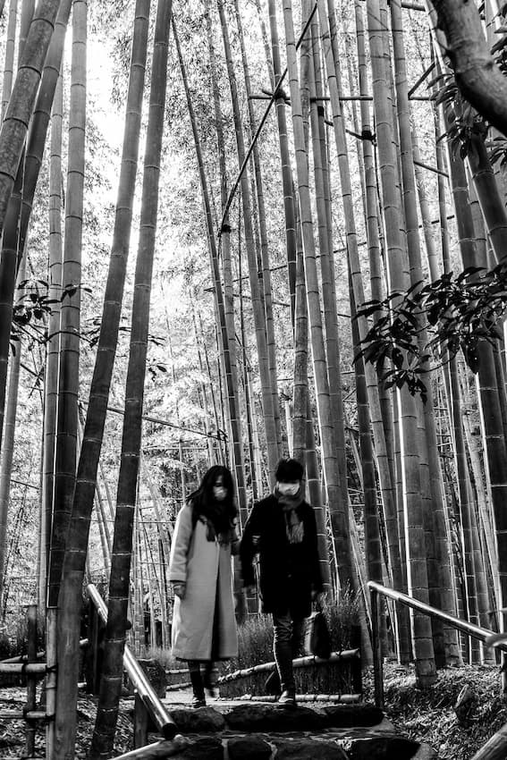 [Kanagawa] Couple Taking A Walk In The Bamboo Grove At Hokoku-ji Temple ...