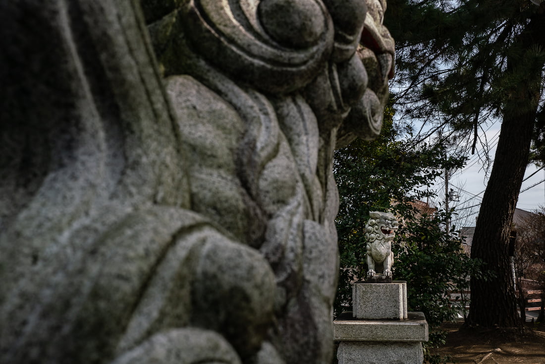 Yasaka Shrine's guardian dogs standing next to Shofuku-ji Jizo Hall