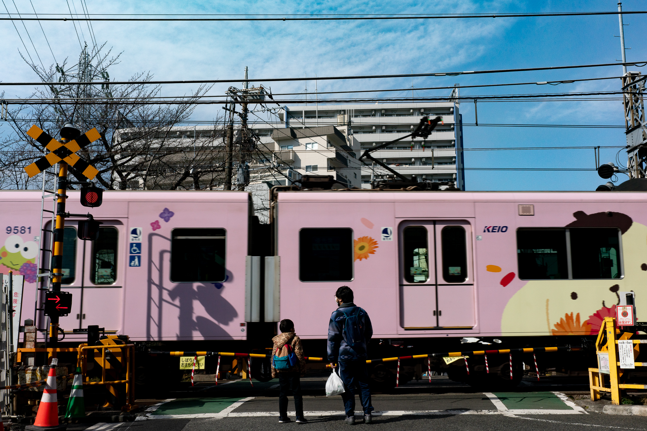 Daitabashi Station Tokyo Common Sense To Stay Off The Tracks And