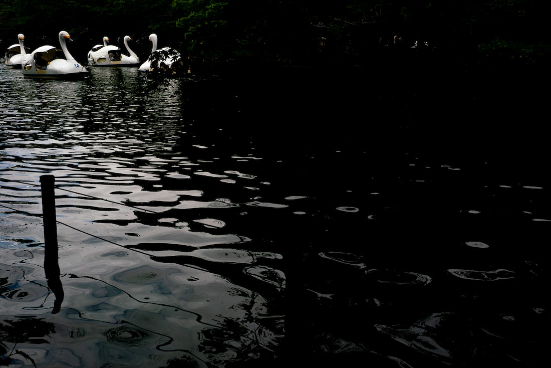 Swan boats on Inokashira Pond